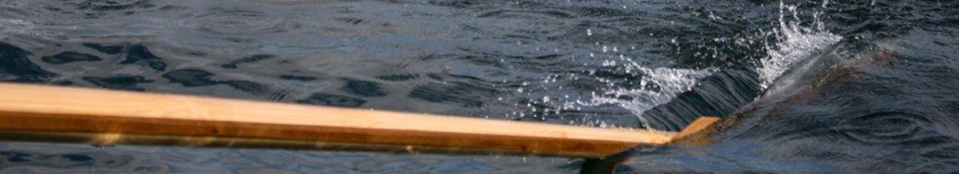 Tag: <span>adaptive rowing</span>